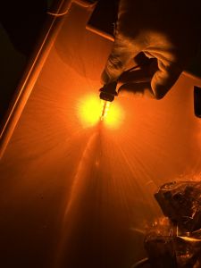 Bóng cắm đờ mi T10 led nhiều màu. Bóng đèn téc  taplo led 12v 24v.