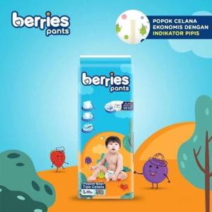 Promo Murah Berries Pants Popok Bayi Tipe Celana M34/L30/xl26/M9/L8/XL7