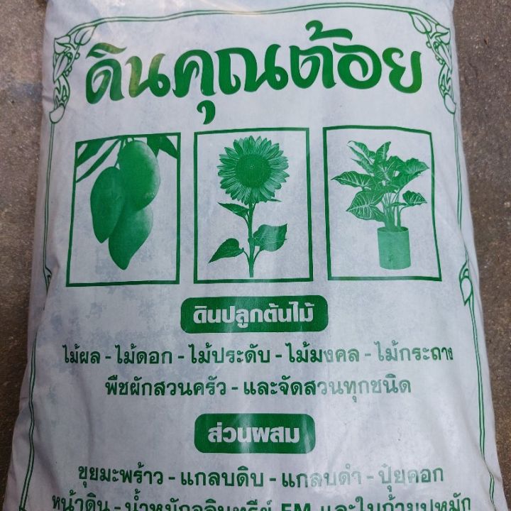7 อันดับดินปลูกต้นไม้ที่ดีที่สุดปี 2025: บำรุงราก ดอกสวย ผลดก!