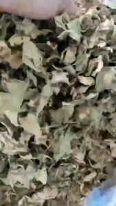 ใบขลู่ ชาใบขลู่  ขนาด 1000 กรัม