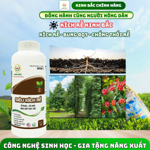 Dung dịch sinh học Siêu Kích Rễ - Kiểm Rễ - Bung Đột - Chống Thời Rễ - Công Nghệ Sinh Học - Gia Tăng Năng Xuất
