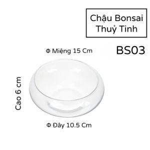 Bể Thuỷ Tinh - Chậu Nuôi Cá Trông Cây Bonsai Để Bàn BS03 Glass Contaier Φ 15Cm
