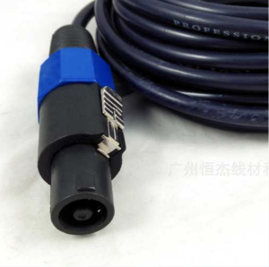 HiFi Professional Speaker Wire with 30A SpeakON Plug 2x2.5mm² 5M