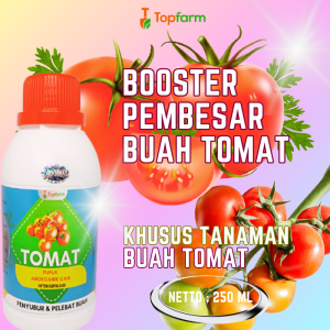 Pupuk Buah Super Lebat Tomat / Pupuk Tomat Agar Berbuah Lebat / Pupuk Booster Buah Tomat / Obat Tomat Anti Busuk Daun / Obat Semprot Hama Daun Tomat