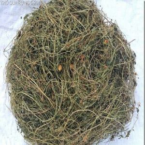 1kg Dây - lá khổ qua rừng khô - Dây - lá khổ qua rừng khô