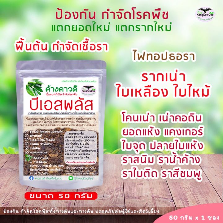 จุลินทรีย์กำจัดโรคพืช บีเอสพลัส ฆ่าเชื้อราและแบคทีเรีย