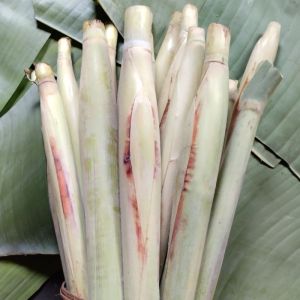 Terubuk Telur Tebu Tiwu Sayuran Turubuk Manis 500 Gram