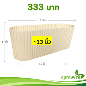 กระถาง กระถางวงรี กระถางรางยาว เบอร์ 12 13 4 12.5 นิ้ว สีครีม 10 ใบ ชิ้น อัน