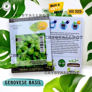 Benih Bibit Basil Genovese Haira Seed - GENOVESE BASIL BELI 5 GRATIS 1