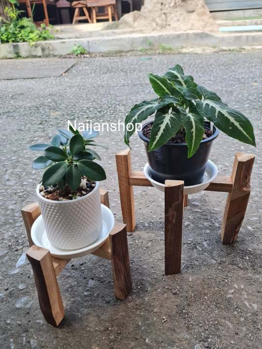 ขาวางกระถางต้นไม้ไม้สักธรรมชาติ ขนาด 6 และ 8 นิ้ว