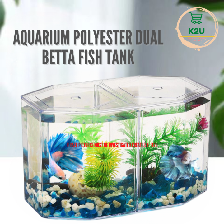 Mini Aquariums: The Pros & Cons of Small Fish Tanks