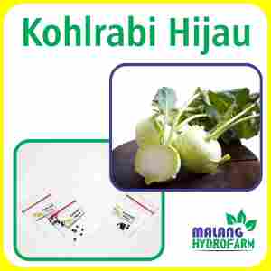 Benih Kohlrabi Hijau Unggulan Berkualitas biji bibit repack kol kubis hydroponik hidroponik sayur sayuran tanaman pot