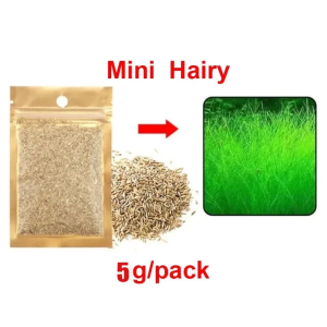 เมล็ดไม้น้ำ เมล็ดไม้นำ้ เมล็ดพันธ์ุไม้น้ำ ไม้น้ำ ต้นไม้ ต้นไม้น้ำ พืชไม้น้ำ ต้นไม้ปลูกในตู้ปลา ตกแต่งตู้ปลา