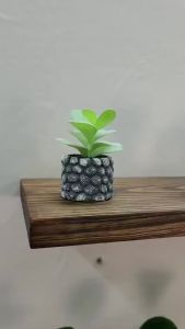 [FURNI HOME] Kệ gỗ gắn tường bằng vít âm gỗ thông tự nhiên nguyên tấm Mộc Mạc decor phòng khách homestay góc học tập