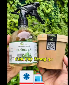 combo dưỡng lá - dưỡng rễ giúp cung cấp dinh dưỡng cho cây