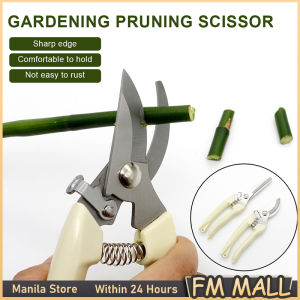 2 Kinds Pruning Shears: Bypass Blade & Straight Tip Scissors Plant Trim Horticulture Pruner Cut Secateur Shrub Garden Tool Branch Shear Orchard Folding Saw Set
