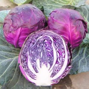 Cabbage Seeds - Red Acre Cabbage Seeds - Leafy Vegetable Seeds - Rare Cabbage Seeds - Heirloom Seeds