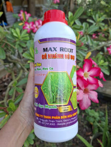 [VTNN TIEN KHOA] Phân bón lá MAX ROOT ĐẺ NHÁNH NỞ BỤI siêu ra rễ đẻ nhánh nở bụi bung đọt chai 1 lít