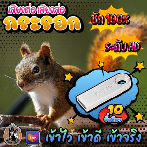 ((( ใ ห ม่ ))) เสียงต่อ เสียงล่อกระรอกป่า ((( ยาวสะใจ 10 ชั่วโมง ))) ใส่แฟลชไดร์ฟ เสียงชัดHD/ดัง/ใส ไม่มีโฆษณาแทรก พร้อมส่ง! มีเก็บเงินปลายทาง!!!