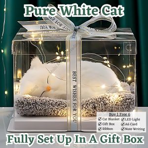 Valentine Gift Cute Cat Rabbit Pet Gift Birthday Girlfriend Present Gift Box Hadiah Kekasih Murah Kucing 情人节礼物生日男女朋友女生闺蜜礼物