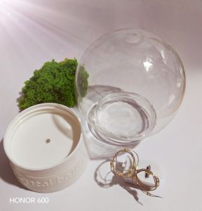 Pipe Cleaners Flower Tabletop Led Display Sphere Ball Bulb Trasnsparent Plastic Chrismas Ornament