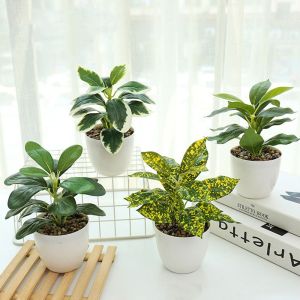 NCNC(OKDEALS01) Plastic Artificial Plants Bonsai with Pot Lifelike Green Pot Plants Decoration Fake Plant Handmade Simulation Potted Plants Home Decoration