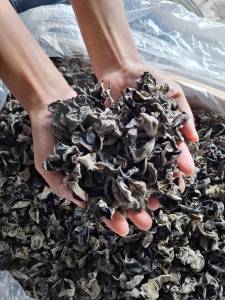 เห็ดหูหนูดำ ธรรมชาติ ส่งตรงจากเมืองจีน สะอาด ปลอดภัย