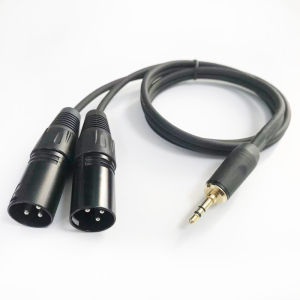 Dây Audio 3.5mm ra 2 Jack Canon Đực dài 1m