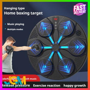 Boxing Target Electronic Intelligent Music Boxing BIG Machine with Bluetooth Training Hanging Wall Target Children And Adult