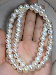 Vòng Cổ Ngọc Trai Thiên Nhiên Hạt Ngọc ovan 8mm