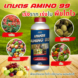 เกษตร AMINO 99 ขนาด 1000ml (ราคาโรงงาน) 1 ขวด อาหารเร่งพืชทุกชนิด ลูกดก ลูกใหญ่ ใบเขียว โตไว รากใหญ่ แข็งแรง ส่งฟรี