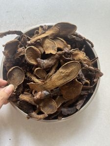 Nấm Ngọc Cẩu khô dùng ngâm tửu giúp bổ thận tăng cường sức khỏe... Hàng VIP búp to chất lượng mọc tự nhiên ở vùng tây bắc