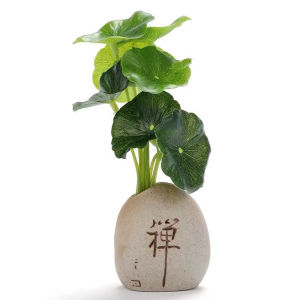 [Giá Sốc]Tượng Chú Tiểu Gõ Mõ đứng sử dụng năng lượng mặt trời gật đầu gõ mõ