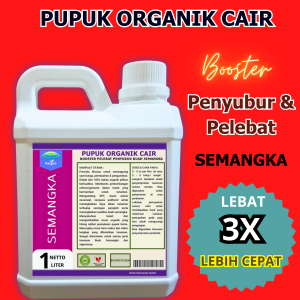 Pupuk Pelebat Penyubur Buah Semangka / Pupuk Pembesar Tanaman Semangka Cepat Berbuah / POC Buah