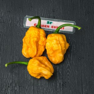 พริก เจ ออเร้น เซเว่นพอร์ต บีบีจี(Jays x orange 7 pot bbg)