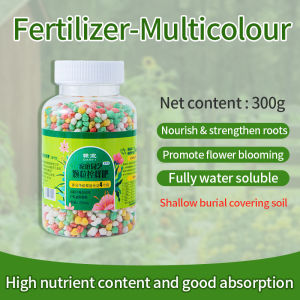 General Controlled Release Fertilizer for Green Plants and Flowers Long-acting mild granular fertilizer