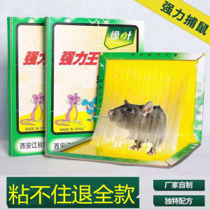 LZD Mouse Trap Sticker Mouse Sticker Dahao Thick Cardboard Stick Rat Strong Stick Mouse Board Glue Mouse Traps Leaf Margin