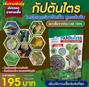 ไตรโคเดอร์มาอัดเม็ด กัปตันไตร สายพันธุ์คู่ สูตรเข้มข้น ขนาด 1 กิโลกรัม
