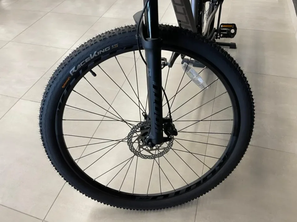 Alcott discount dino 29er