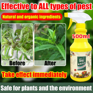 🐛Effective to ALL typesofpest 🌻 Maeve racun serangga perosak tanaman 500ml pesticides for plants membunuh+mencegah racun serangga tanaman Racun serangga untuk daun racun serangga organik tanaman racun ulat tanaman sayur paling kuat