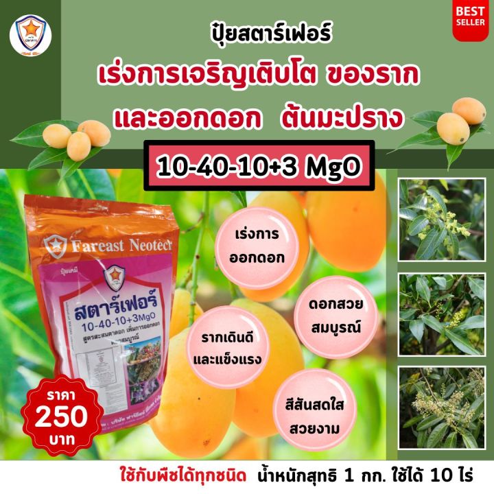 %E0%B8%A1%E0%B8%B0%E0%B8%9B%E0%B8%A3%E0%B8%B2%E0%B8%87%20%E0%B9%82%E0%B8%95%E0%B9%84%E0%B8%A7%20%E0%B9%83%E0%B8%9A%E0%B9%80%E0%B8%82%E0%B8%B5%E0%B8%A2%E0%B8%A7%20%E0%B9%80%E0%B8%A3%E0%B9%88%E0%B8%87%E0%B8%A3%E0%B8%B2%E0%B8%81%20%E0%B9%80%E0%B8%A3%E0%B9%88%E0%B8%87%E0%B8%94%E0%B8%AD%E0%B8%81%20%E0%B8%82%E0%B8%A2%E0%B8%B2%E0%B8%A2%E0%B8%82%E0%B8%99%E0%B8%B2%E0%B8%94%20%E0%B8%9C%E0%B8%A5%E0%B9%83%E0%B8%AB%E0%B8%8D%E0%B9%88%20%E0%B8%9C%E0%B8%A5%E0%B8%94%E0%B8%81%20%E0%B9%80%E0%B8%9E%E0%B8%B4%E0%B9%88%E0%B8%A1%E0%B8%99%E0%B9%89%E0%B8%B3%E0%B8%AB%E0%B8%99%E0%B8%B1%E0%B8%81%20%E0%B9%80%E0%B8%9E%E0%B8%B4%E0%B9%88%E0%B8%A1%E0%B8%84%E0%B8%B8%E0%B8%93%E0%B8%A0%E0%B8%B2%E0%B8%9E%20%E0%B8%9C%E0%B8%A5%E0%B8%9C%E0%B8%A5%E0%B8%B4%E0%B8%95%20%E0%B8%94%E0%B9%89%E0%B8%A7%E0%B8%A2%20%E0%B8%9B%E0%B8%B8%E0%B9%8B%E0%B8%A2%20%E0%B8%AA%E0%B8%95%E0%B8%B2%E0%B8%A3%E0%B9%8C%E0%B9%80%E0%B8%9F%E0%B8%AD%E0%B8%A3%E0%B9%8C%20-%20Image%204