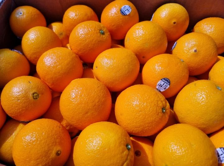Sunkist Navel Orange SIZE: L (Sunkist 3107 size 88) / Egypt or Spain