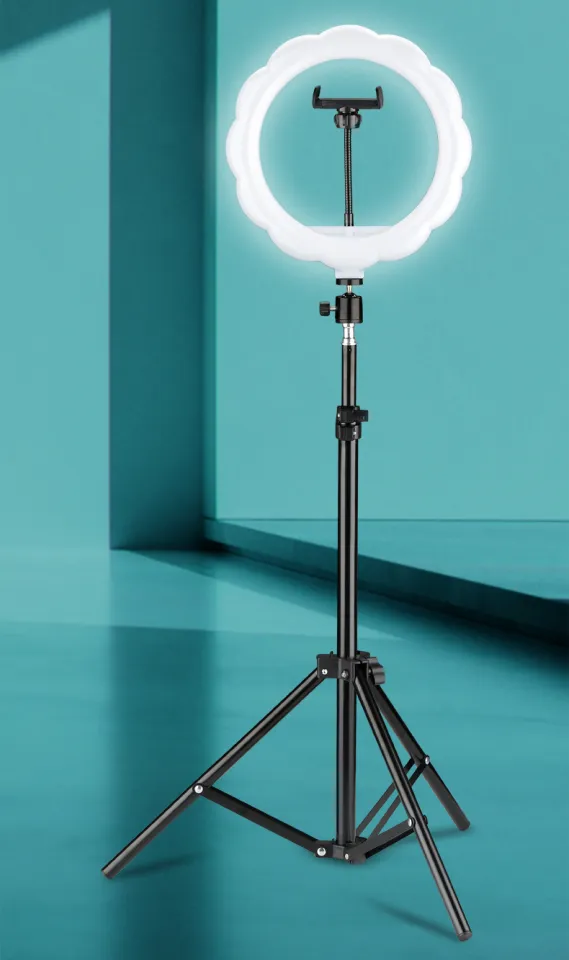 ZiinLife 26cm Ring Light with Extendable Tripod Stand LED