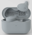 Final Audio ZE300 Ultra small Noise cancelling True Wireless Earphones. 