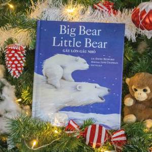 Sách - Big Bear Little Bear - Gấu Lớn Gấu Nhỏ - ndbooks