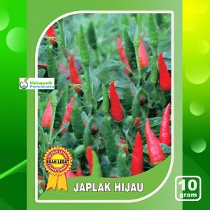 Benih Cabe Rawit Cengek JAPLAK HIJAU Caplak Hijau Tegak 10 Gram Cap You Seed