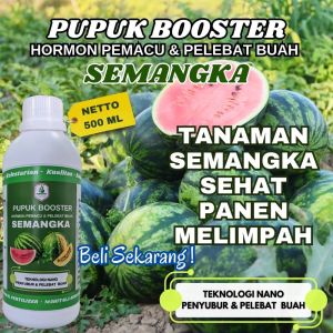 Pupuk Pembesar Pelebat Buah Semangka Pupuk Daun dan Buah Semangka Lebat Pupuk Booster Semangk