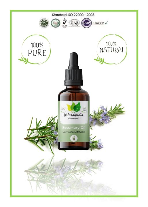 Pure Rosemary Essential Oil 30ml / Minyak Atsiri Esensial Rosemari Rose ...