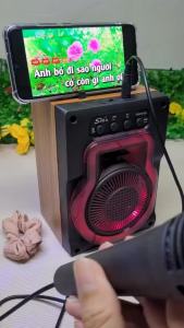 Loa Karaoke Di Động Nghe Nhạc Xách Tay Loa Bluetooth Mini 1Microcó dây - Bảo Hành 12 Tháng