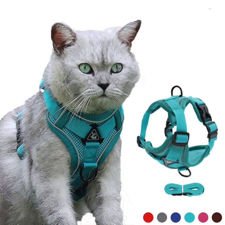 Cat Harness Escape Proof Breathable Cat Harness Leash For Walking Outdoor Easy Control Pet Dog Cat Leash Reflective Harness Lazada PH